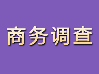 聂拉木商务调查